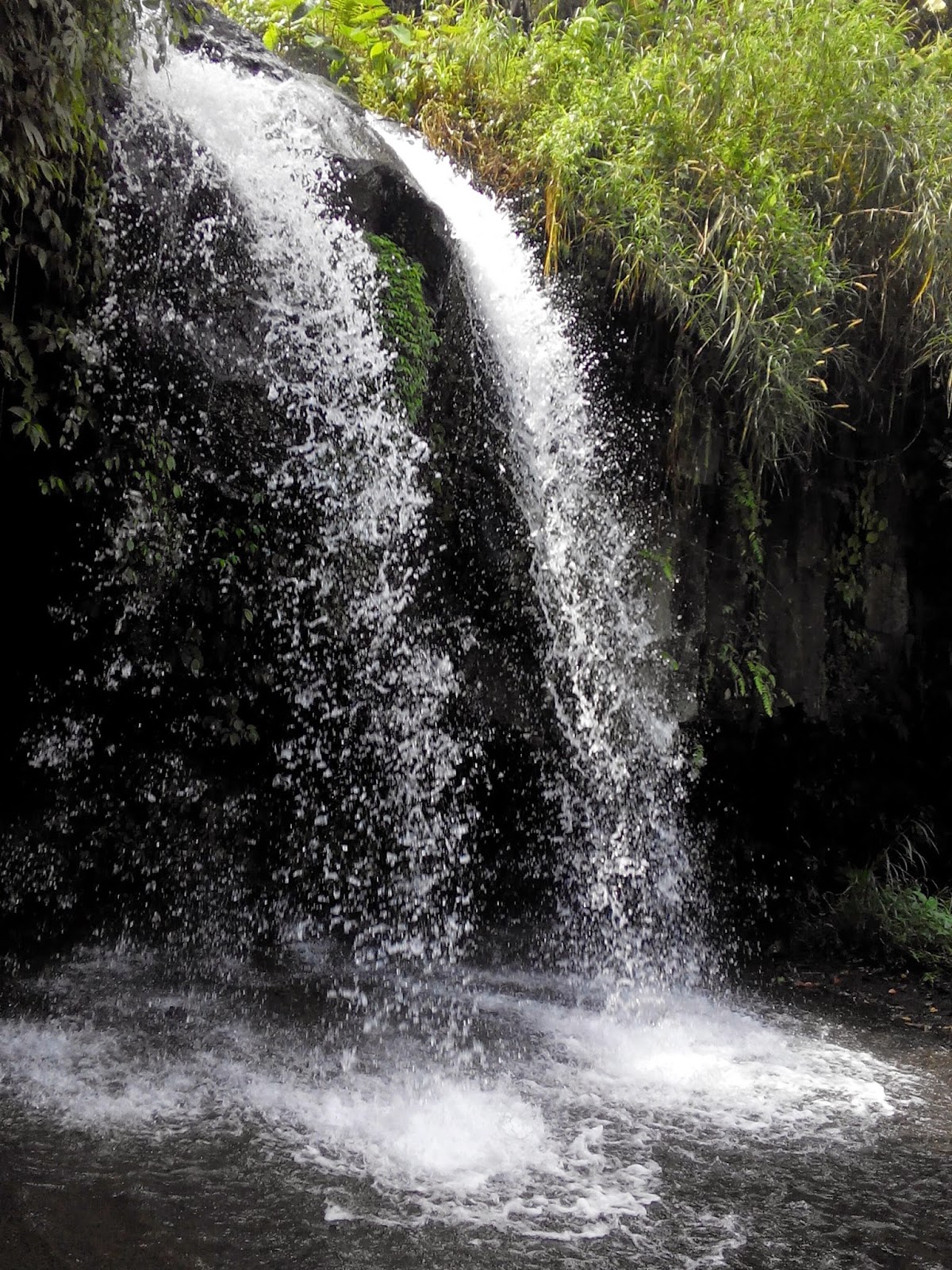 &#91;COC Reg. Jember&#93; Berikut 5 Air Terjun di Jember, Nomor 5 Wajib Dikunjungi Jomlower!