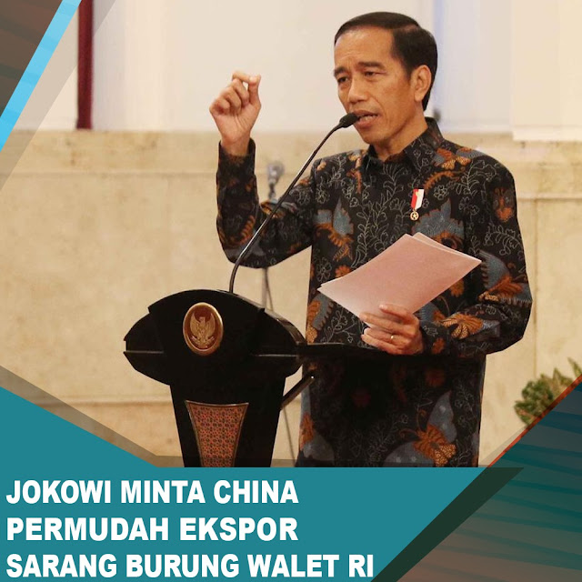 Jokowi Minta China Permudah Ekspor Sarang Burung Walet Indonesia