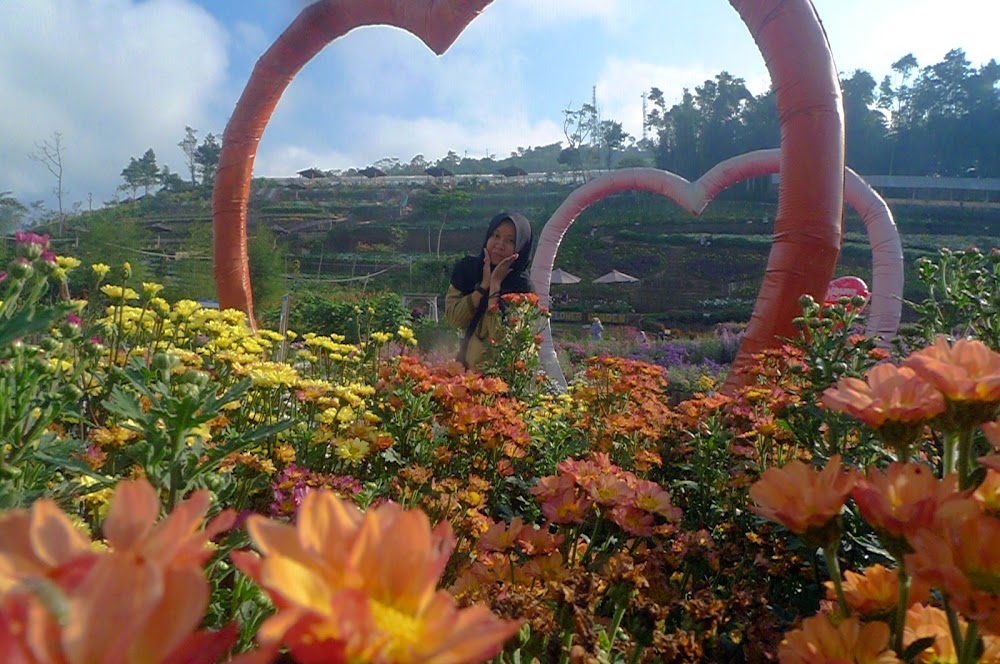 &#91;CoC Regional: Lokasi Wisata&#93; Nyasar, Sampai Kutabawa Flower Garden