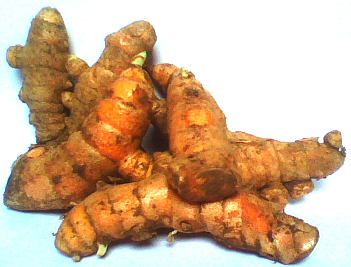 ++Dengan Ini Agan Bisa Buat Obat Sendiri++
