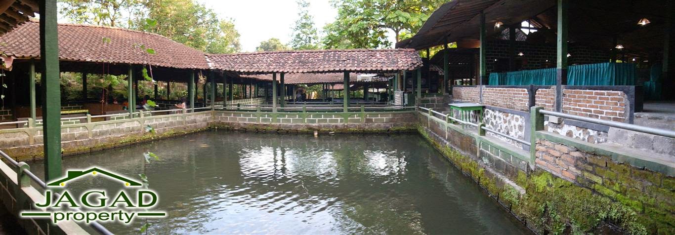 Oper Manajemen Rumah makan dilengkapi Kolam Renang