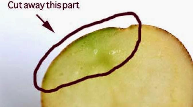 Doyan Kentang? Warna Hijau pada Kentang bisa Jadi Racun!!