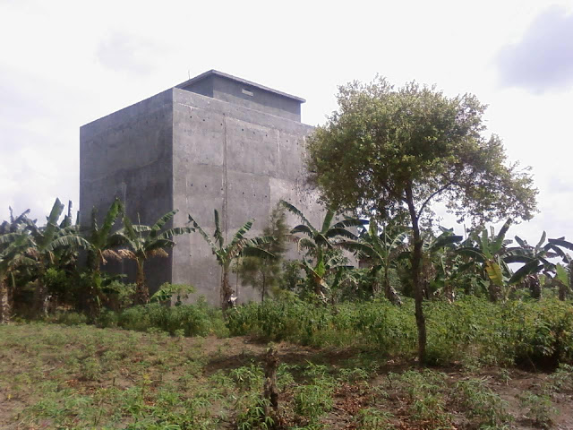 air-liur-burung-walet-jadi-makanan-termahal