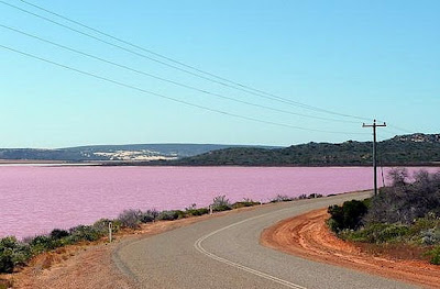 8 Danau Berwarna Pink