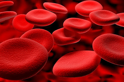 Fakta Eksperimen Darah dengan Zat Cair