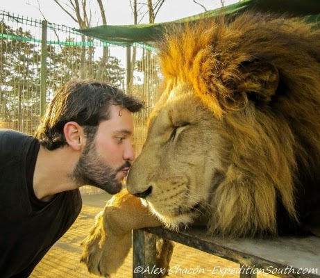 Ini dia 15 Selfie Terbaru Paling Ekstrim..!!