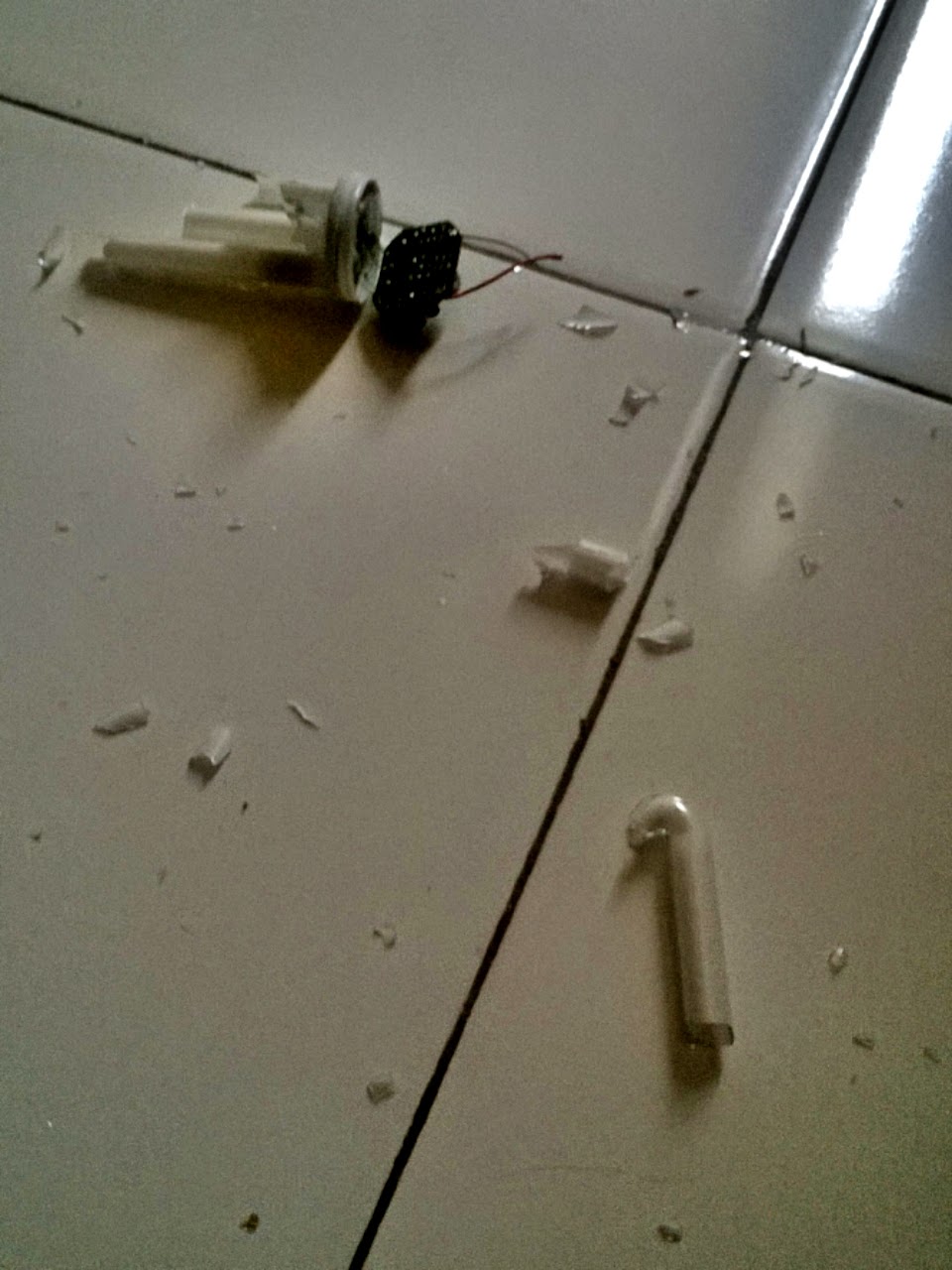 10 Reaksi Yang Agan Rasain Kalo Ada Mahkluk Halus Didekat Agan