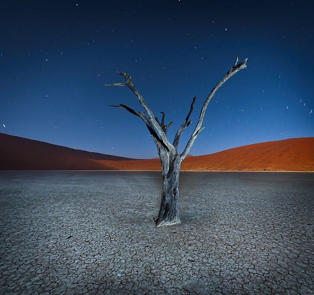 Lanskap Aneh Deadvlei Namibia