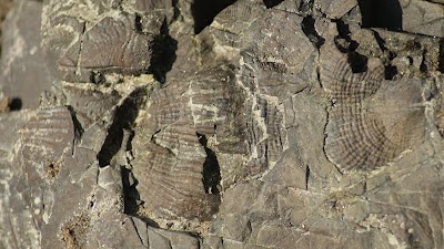 Ini dia 7 Geopark yang ada di Indonesia