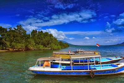 Wisata Pulau Menjangan, Keindahan Taman Bawah Laut di Bali Barat