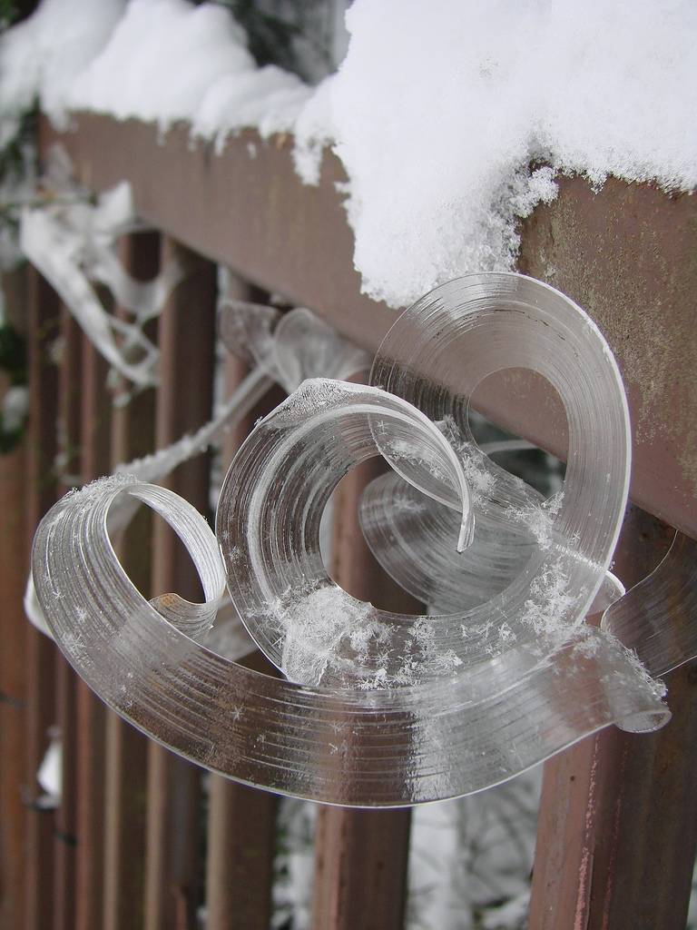 &#91;AMAZING&#93; Frost Flowers: Es Yang Berbentuk Seperti Bunga (++PIC)