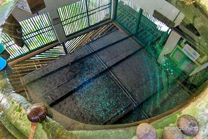 &#91;CoC Regional: Lokasi Wisata&#93; Makam Panembahan Kalibening