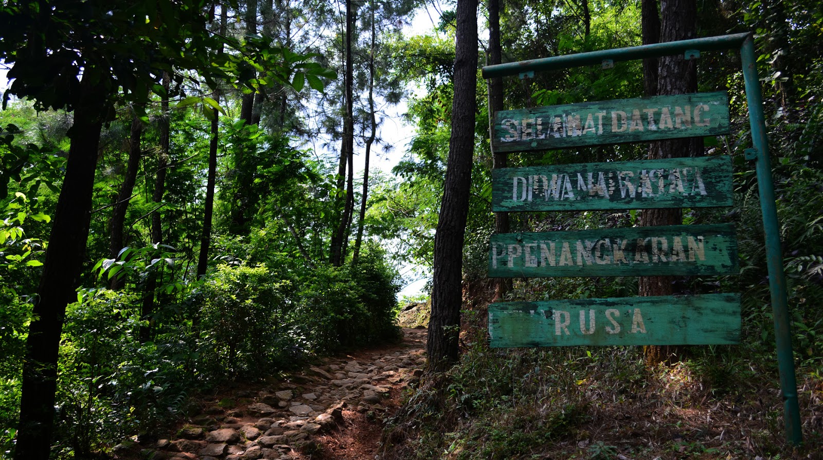 Wahana Wisata Penangkaran Rusa Cariu