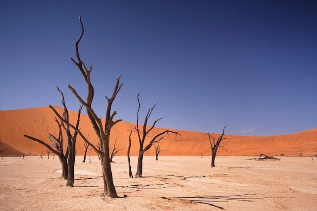 Lanskap Aneh Deadvlei Namibia