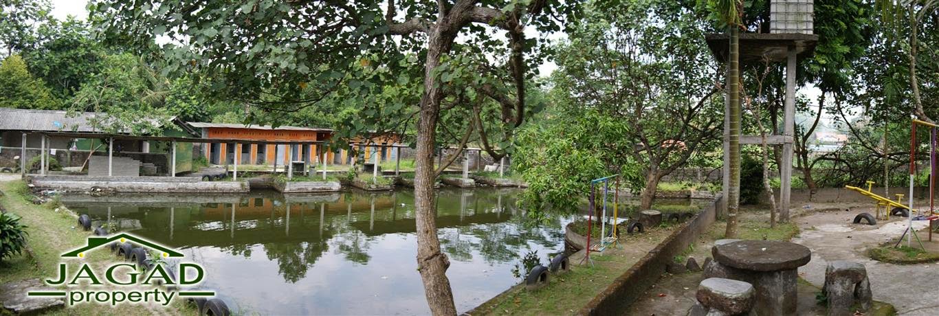 Oper Manajemen Rumah makan dilengkapi Kolam Renang