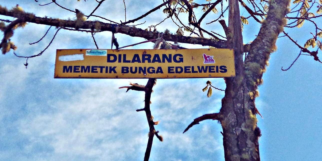 (PECINTA ALAM ALAY MASUK)ATURAN YANG WAJIB DITAATI KETIKA MENDAKI GUNUNG!!!