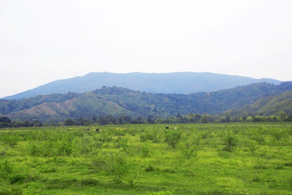 10 GUNUNG PALING POPULER DI SULAWESI TENGAH