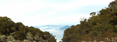 Mendaki Pangrango, puncak tertinggi kedua Jawa Barat &#91;22-25 November 2013&#93;