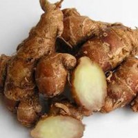 &#91;INFO&#93; 7 Jenis Tanaman Penangkal Batuk