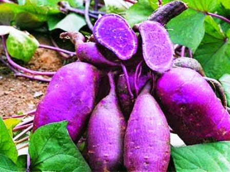 Sumber Karbohidrat yang Biasa Dijadikan Lauk/Sayur