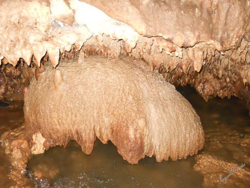 Obyek wisata Kabupaten Kebumen &#91;Orang KEBUMEN dan sekitar MASUK&#93;