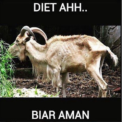 Perasaan Kambing Sebelum Eksekusi di Hari Raya Kurban [Meme Lucu]