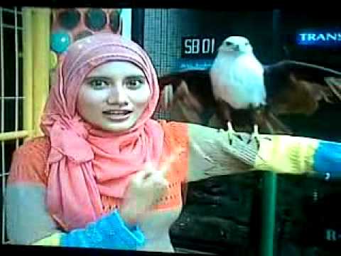 .::Sharing foto2 Artis Indonesia::. - Part 3 - Page 417 | KASKUS