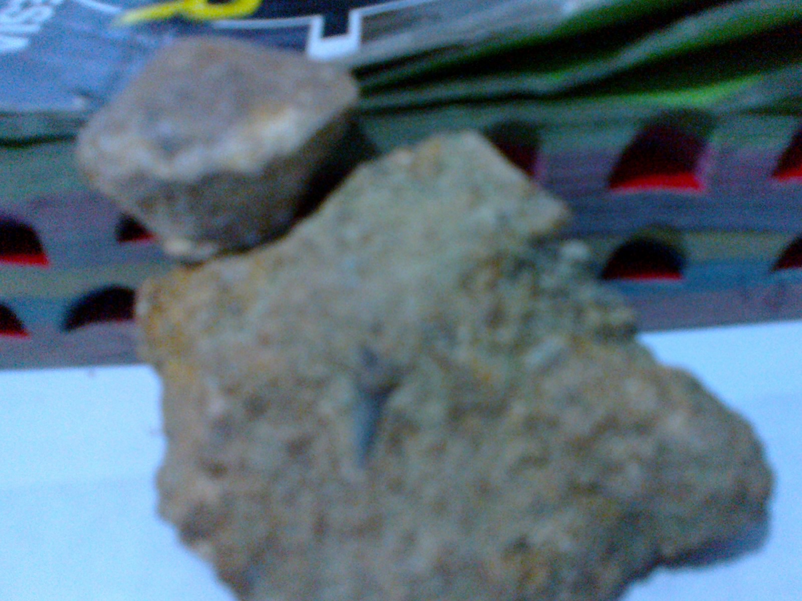 Hasil temuan Fosil - fosil ane ... : )