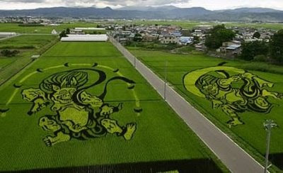 MELUKIS SAWAH SENI UNIK DARI JEPANG