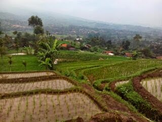 Cerita-cerita pendakian Gunung Rakutak