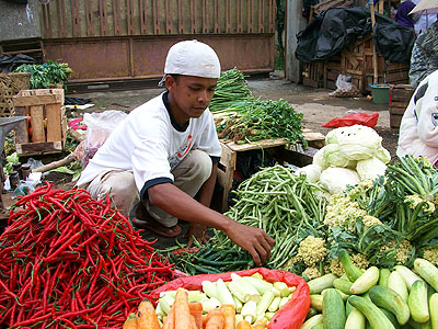 Bahasa Rakyat (Folk Speech) yang Hidup di Indonesia