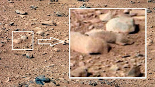 Seorang blogger menemukan Creature di permukaan planet Mars