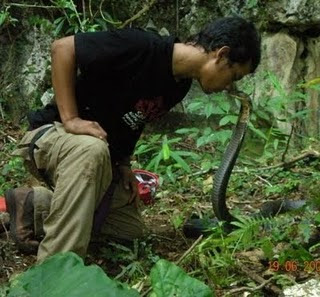 5 Hal wajib yang dilakuin ketika rumah kemasukan ULAR