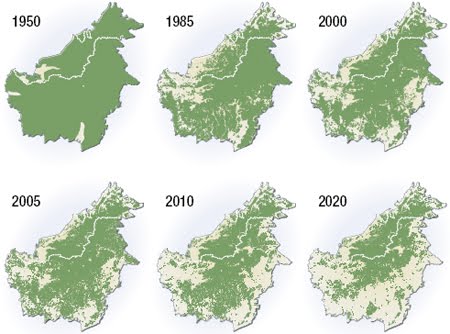 Hutan Indonesia Riwayatmu Kini &#91;MENCENGANGKAN !!!&#93;