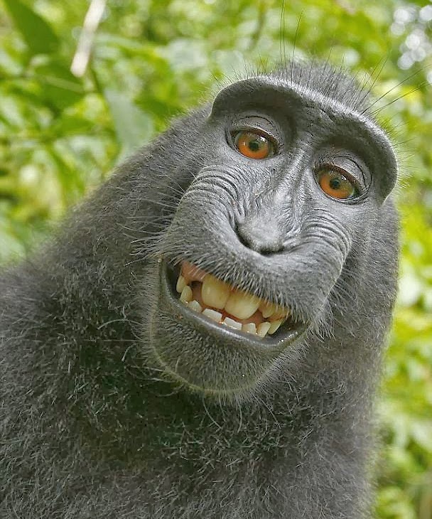 FOto Selfie Gokil