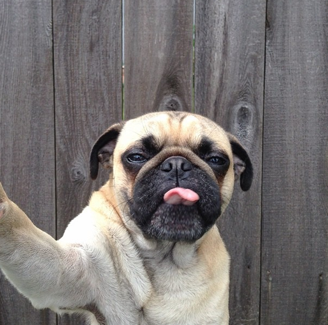 FOto Selfie Gokil