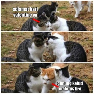 KUMPULAN MEME VALENTINE 2015