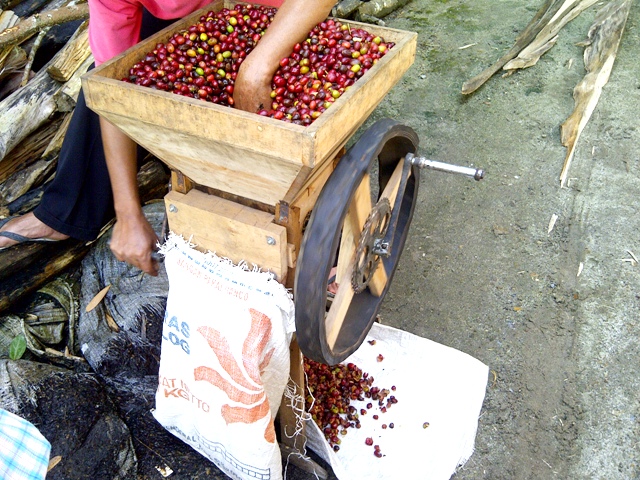 Serba Serbi Kopi