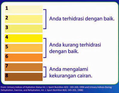 Saat Hendak Sakit, Tubuh Keluarkan 12 Tanda Ini