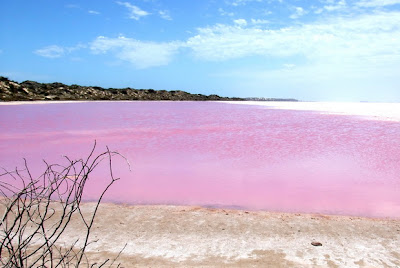 8 Danau Berwarna Pink