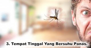 Ciri-ciri manusia yang disukai nyamuk