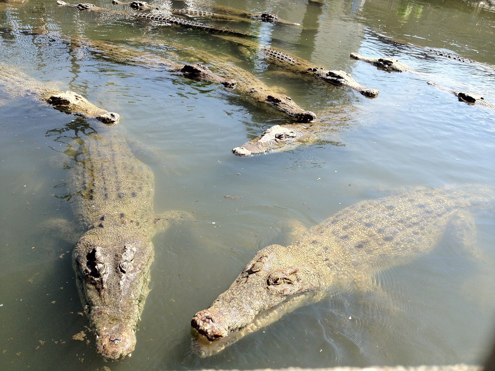 9 Neraka Beppu di Jepang