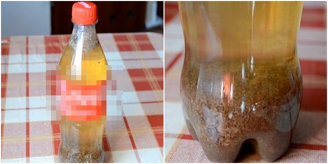 Mengejutkan, Reaksi Cola kalo ketemu Susu