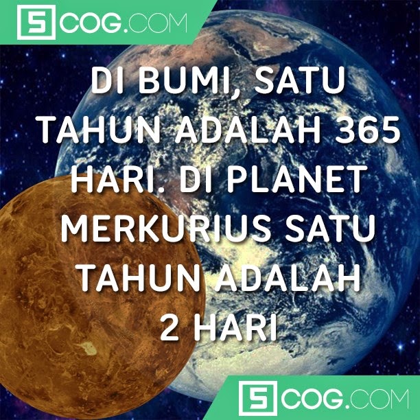 Fakta-Fakta Yang Harus Anda Tahu