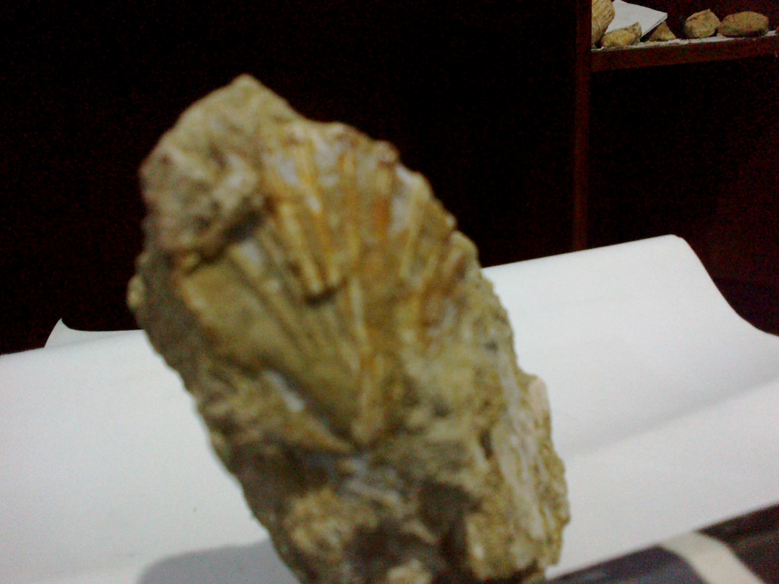 Hasil temuan Fosil - fosil ane ... : )