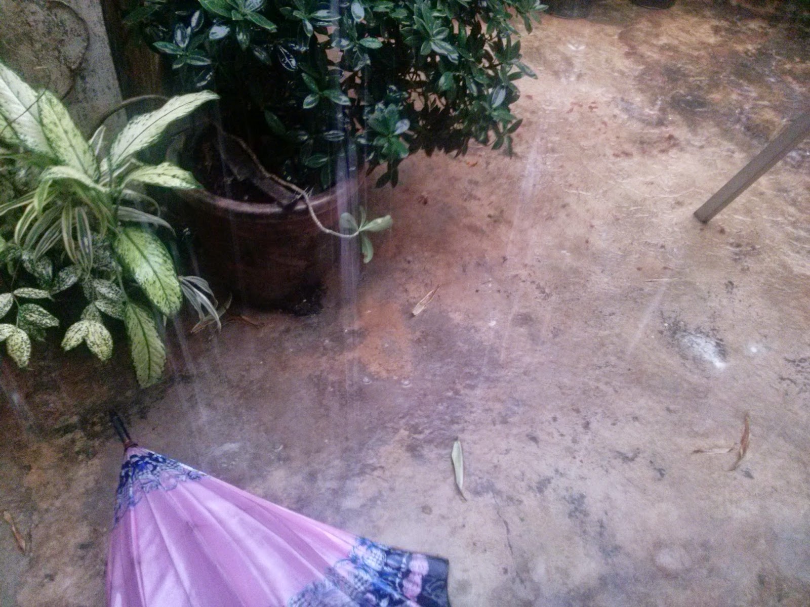 ~Hujan Es Batu Jakarta Barat Kemanggisan