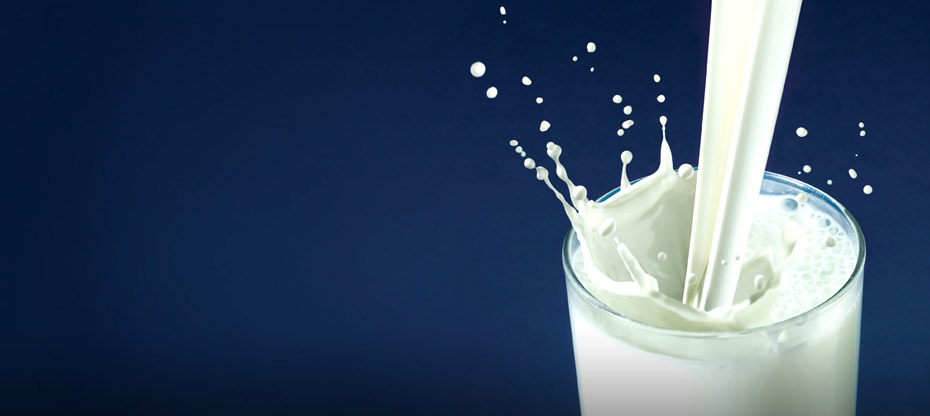 Agen Susu Murni