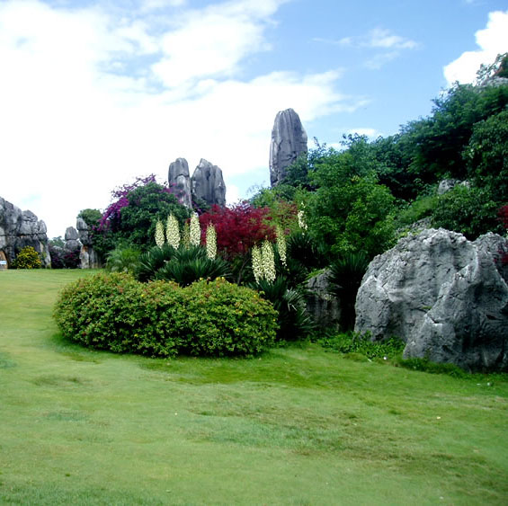 Menilik Kemegahan Hutan Batu di China