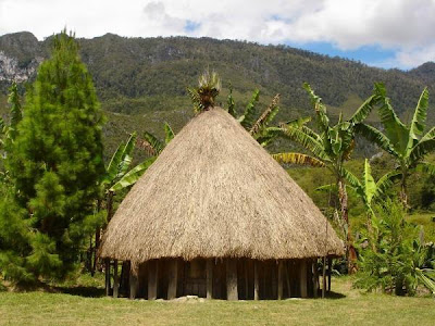 Keajaiban Pulau Nuu Waar di Indonesia yang Tak Terduga Nilai Keindahannya