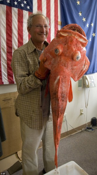 Ikan Tertua di Dunia, Dipancing di Alaska Berusia 200 Tahun